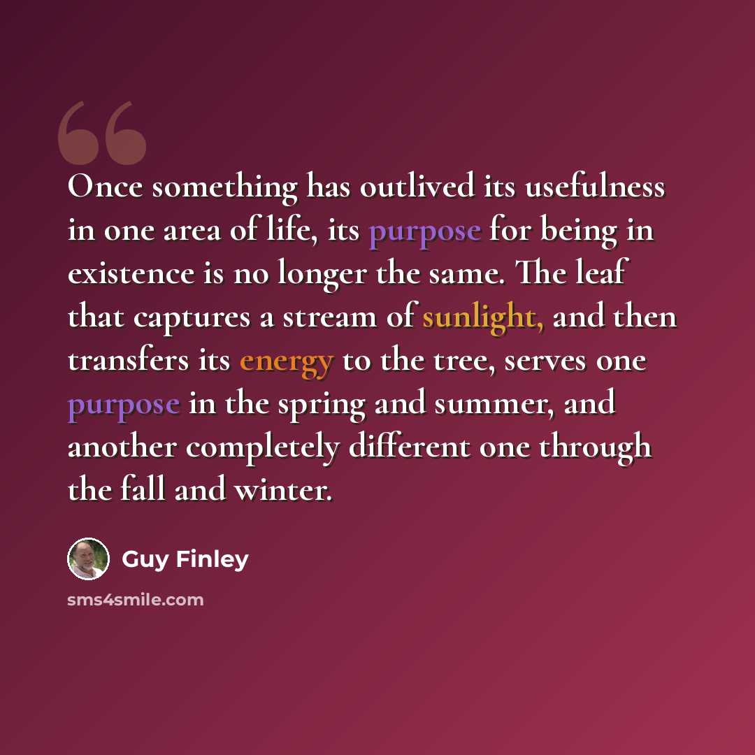 “Once something has outlived its usefulness in one area of life, its purpose for being in existence is no longer the same. The leaf that captures a stream of sunlight, and then transfers its energy to the tree, serves one purpose in the spring and summer, and another completely different one…” quote by Guy Finley