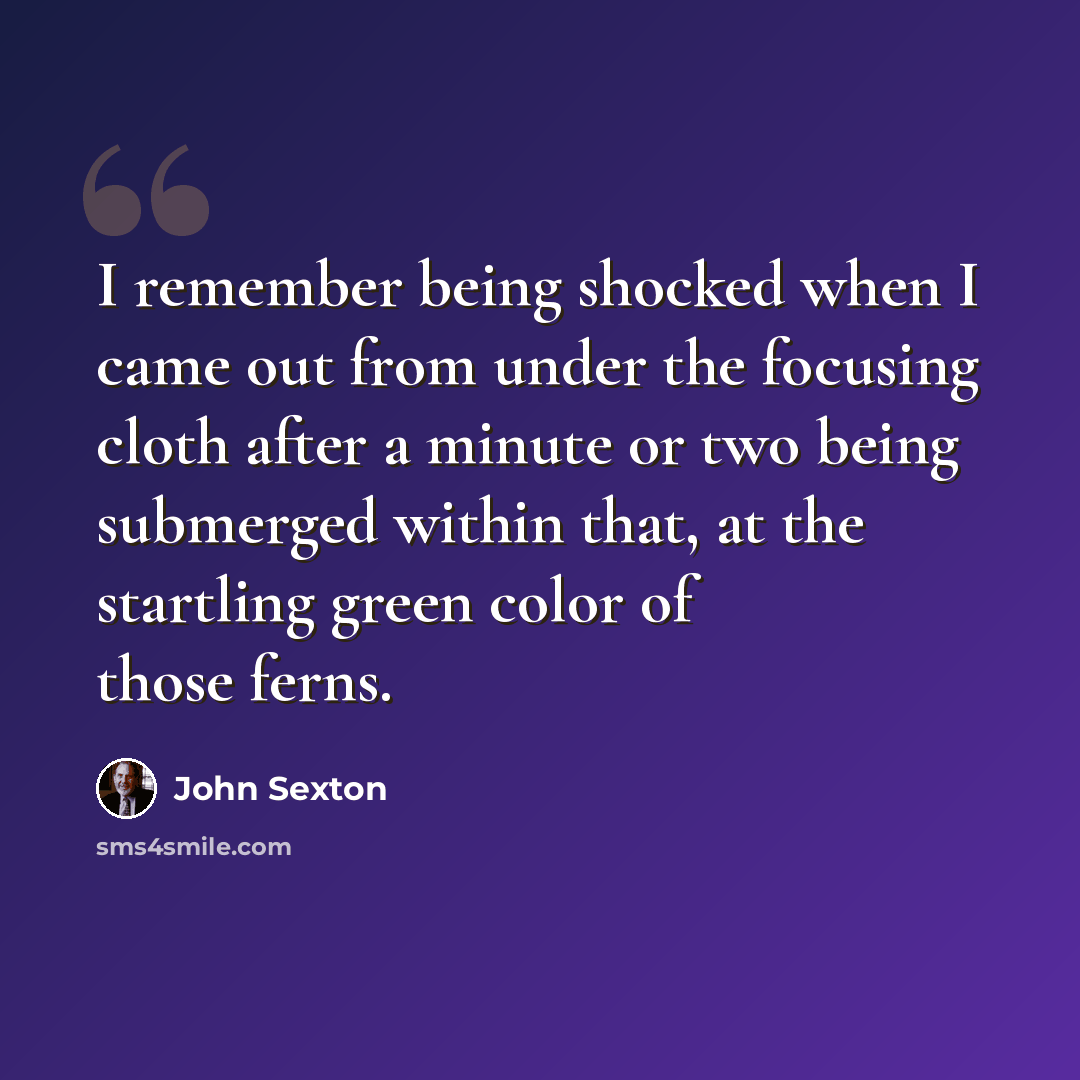 “I remember being shocked when I came out from under the focusing cloth after a minute or two being submerged within that, at the startling green color of those ferns.” quote by John Sexton