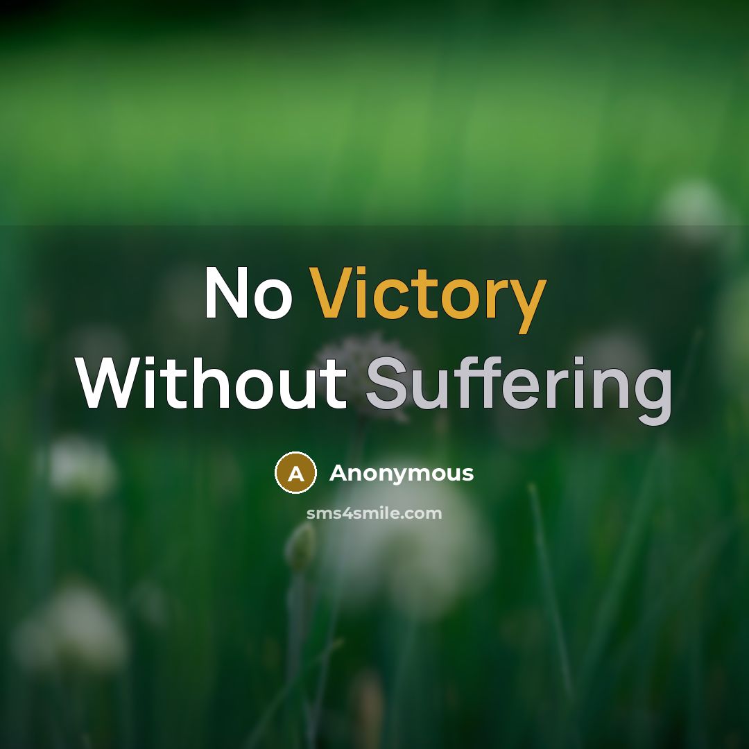 “No Victory Without Suffering” quote by Anonymous