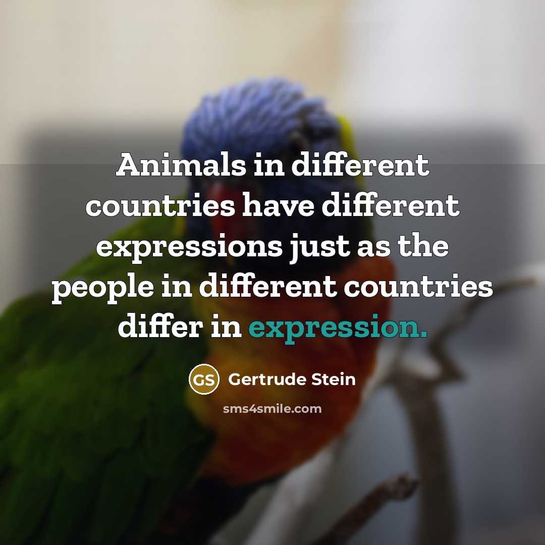 “Animals in different countries have different expressions just as the people in different countries differ in expression.” quote by Gertrude Stein