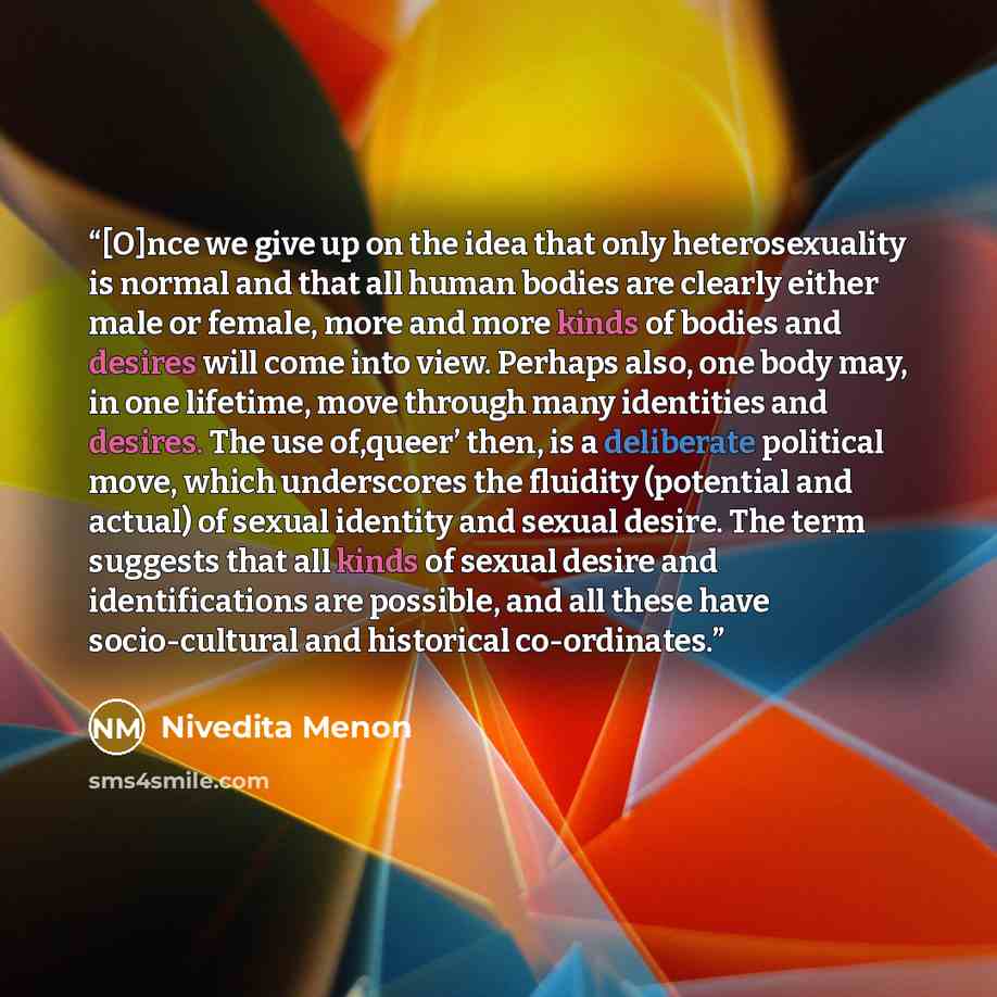 “[O]nce we give up on the idea that only heterosexuality is normal and that all human bodies are clearly either male or female, more and more kinds of bodies and desires will come into view. Perhaps also, one body may, in one lifetime, move through many identities and desires. The use of,queer’…” quote by Nivedita Menon