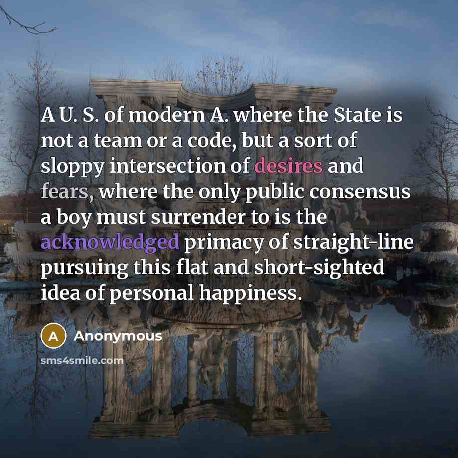“A U. S. of modern A. where the State is not a team or a code, but a sort of sloppy intersection of desires and fears, where the only public consensus a boy must surrender to is the acknowledged primacy of straight-line pursuing this flat and short-sighted idea of personal happiness.” quote by Anonymous