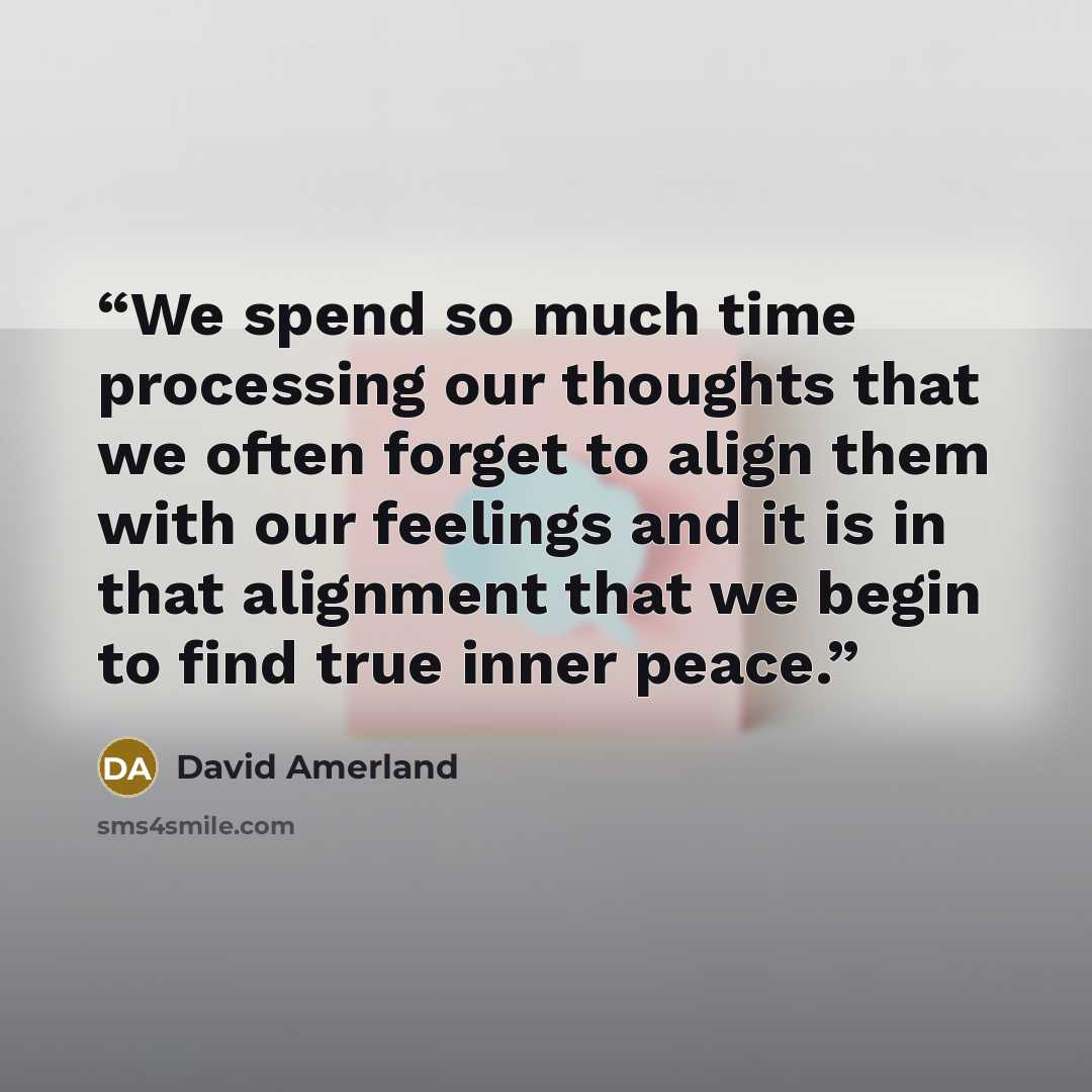 “We spend so much time processing our thoughts that we often forget to align them with our feelings and it is in that alignment that we begin to find true inner peace.” quote by David Amerland
