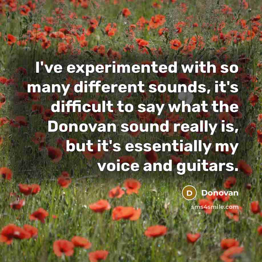 “I've experimented with so many different sounds, it's difficult to say what the Donovan sound really is, but it's essentially my voice and guitars.” quote by Donovan