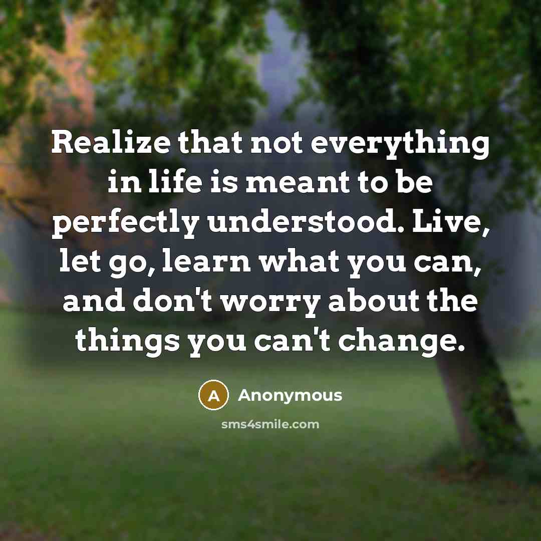 “Realize that not everything in life is meant to be perfectly understood. Live, let go, learn what you can, and don't worry about the things you can't change.” quote by Anonymous