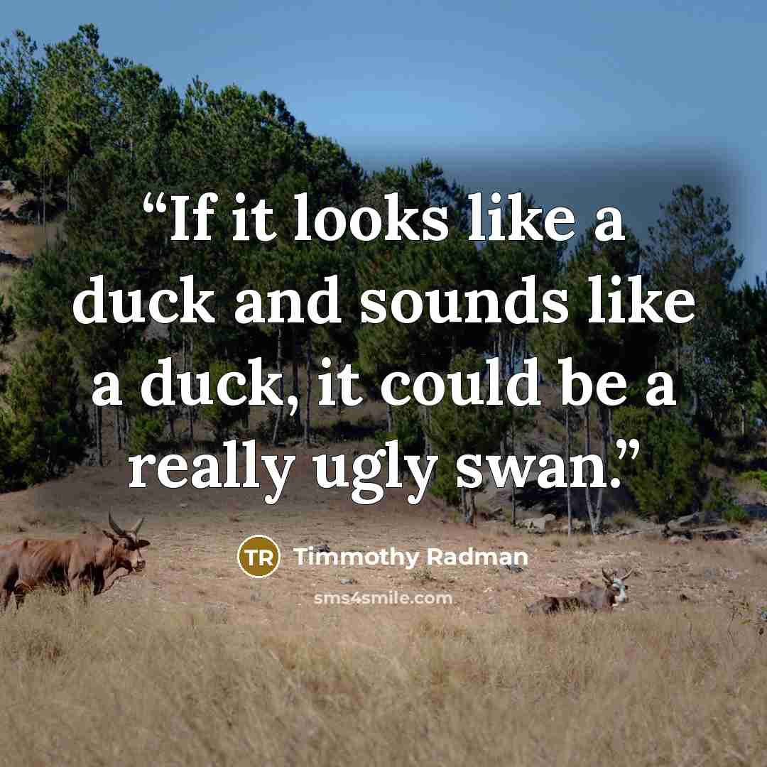 “If it looks like a duck and sounds like a duck, it could be a really ugly swan.” quote by Timmothy Radman
