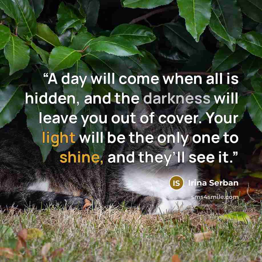 “A day will come when all is hidden, and the darkness will leave you out of cover. Your light will be the only one to shine, and they’ll see it.” quote by Irina Serban