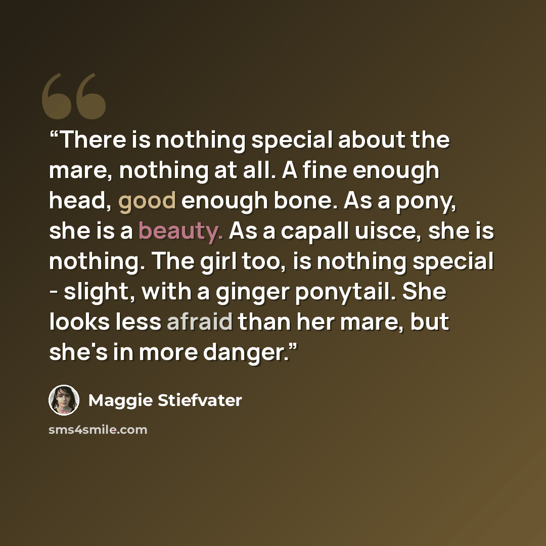 “There is nothing special about the mare, nothing at all. A fine enough head, good enough bone. As a pony, she is a beauty. As a capall uisce, she is nothing. The girl too, is nothing special - slight, with a ginger ponytail. She looks less afraid than her mare, but she's in more danger.” quote by Maggie Stiefvater