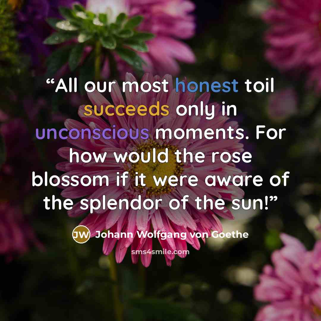 “All our most honest toil succeeds only in unconscious moments. For how would the rose blossom if it were aware of the splendor of the sun!” quote by Johann Wolfgang von Goethe
