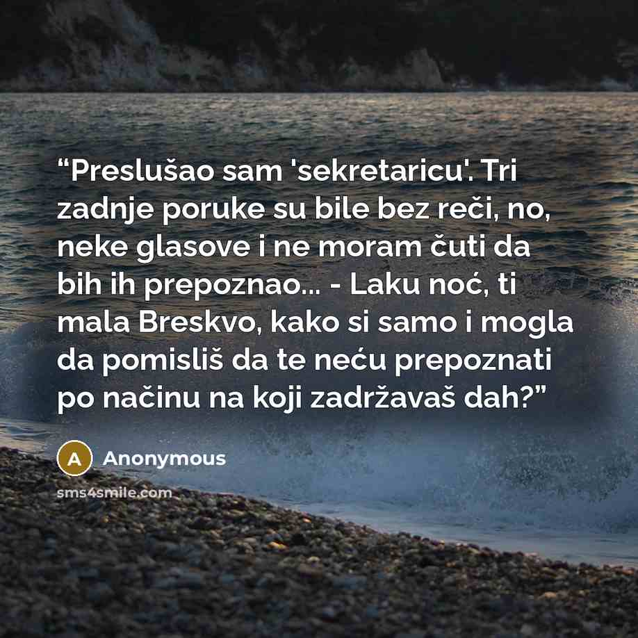 “Preslušao sam 'sekretaricu'. Tri zadnje poruke su bile bez reči, no, neke glasove i ne moram čuti da bih ih prepoznao... - Laku noć, ti mala Breskvo, kako si samo i mogla da pomisliš da te neću prepoznati po načinu na koji zadržavaš dah?” quote by Anonymous