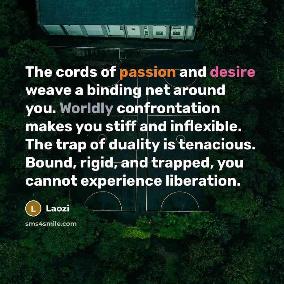 “The cords of passion and desire weave a binding net around you. Worldly confrontation makes you stiff and inflexible. The trap of duality is tenacious. Bound, rigid, and trapped, you cannot experience liberation.” quote by Laozi