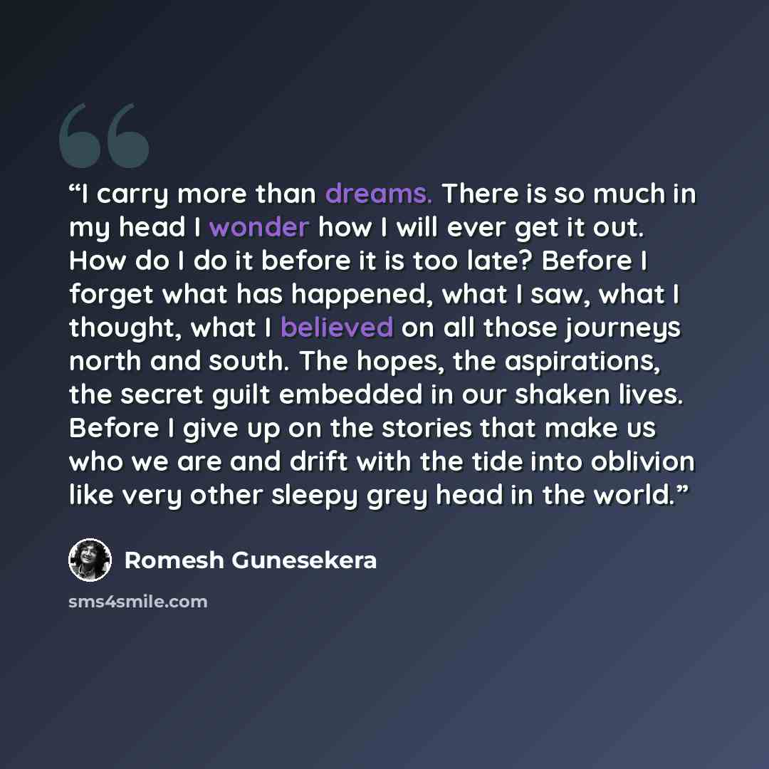 “I carry more than dreams. There is so much in my head I wonder how I will ever get it out. How do I do it before it is too late? Before I forget what has happened, what I saw, what I thought, what I believed on all those journeys north and south. The hopes, the aspirations, the secret guilt…” quote by Romesh Gunesekera