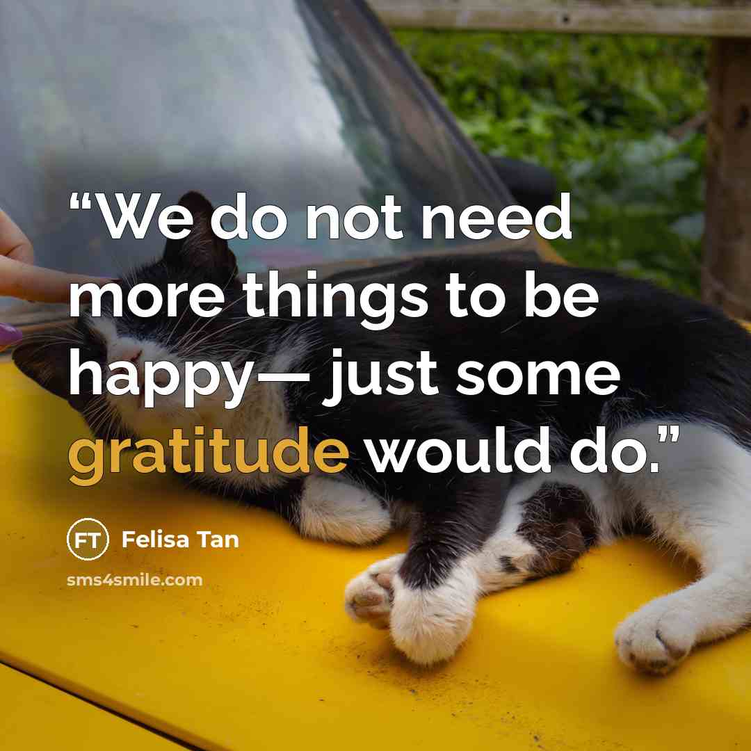 “We do not need more things to be happy— just some gratitude would do.” quote by Felisa Tan