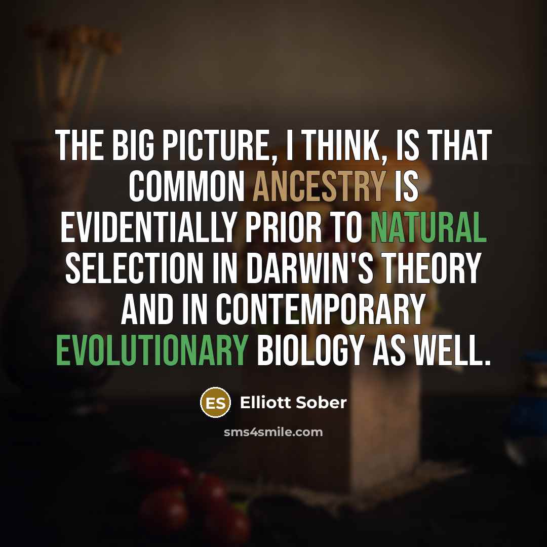 “The big picture, I think, is that common ancestry is evidentially prior to natural selection in Darwin's theory and in contemporary evolutionary biology as well.” quote by Elliott Sober