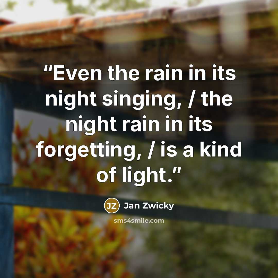 “Even the rain in its night singing, / the night rain in its forgetting, / is a kind of light.” quote by Jan Zwicky