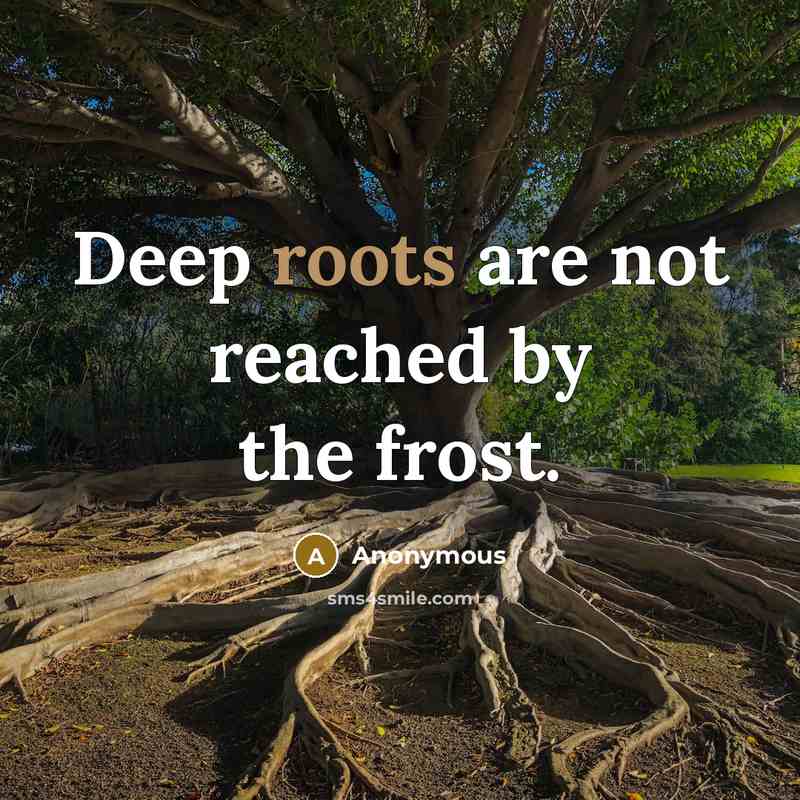 “Deep roots are not reached by the frost.” quote by Anonymous