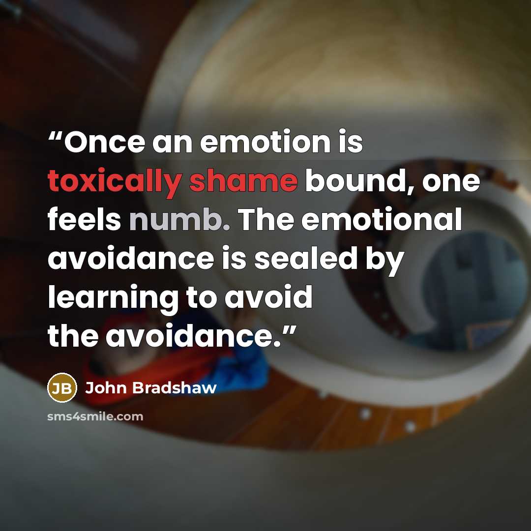 “Once an emotion is toxically shame bound, one feels numb. The emotional avoidance is sealed by learning to avoid the avoidance.” quote by John Bradshaw
