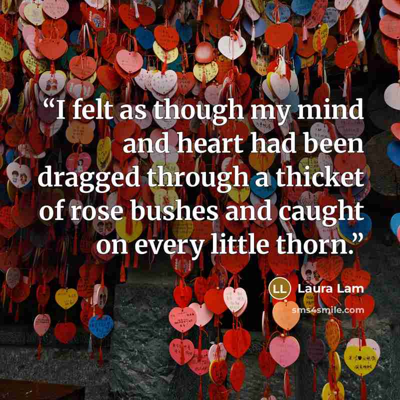 “I felt as though my mind and heart had been dragged through a thicket of rose bushes and caught on every little thorn.” quote by Laura Lam