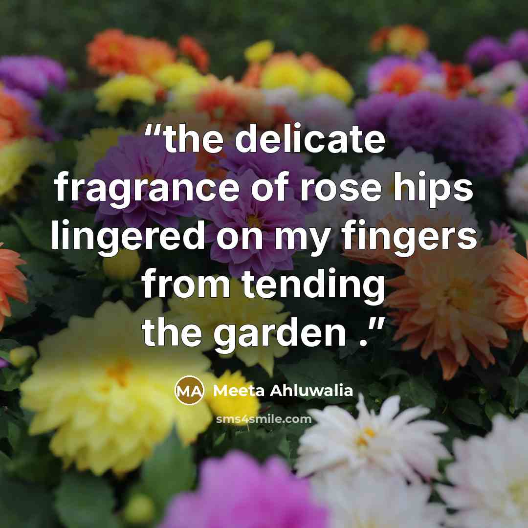 “the delicate fragrance of rose hips lingered on my fingers from tending the garden .” quote by Meeta Ahluwalia