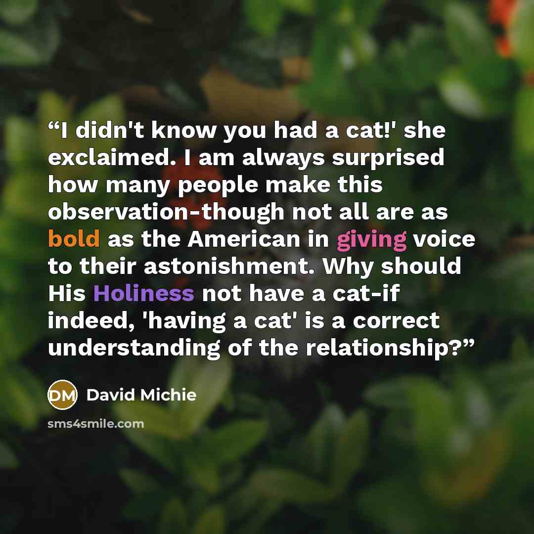 “I didn't know you had a cat!' she exclaimed. I am always surprised how many people make this observation-though not all are as bold as the American in giving voice to their astonishment. Why should His Holiness not have a cat-if indeed, 'having a cat' is a correct understanding of the relationship?” quote by David Michie