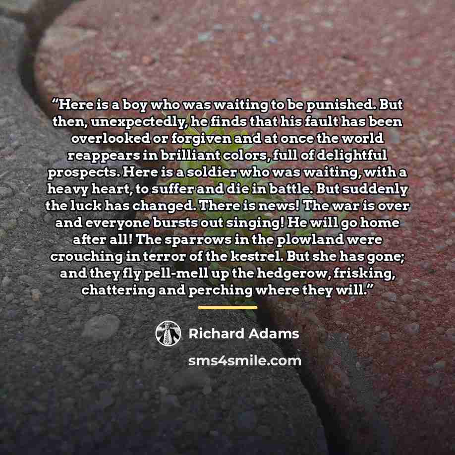 “Here is a boy who was waiting to be punished. But then, unexpectedly, he finds that his fault has been overlooked or forgiven and at once the world reappears in brilliant colors, full of delightful prospects. Here is a soldier who was waiting, with a heavy heart, to suffer and die in battle. But…” quote by Richard Adams