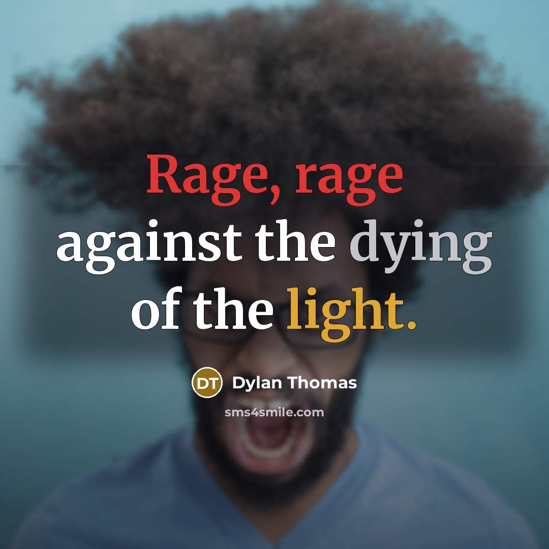“Rage, rage against the dying of the light.” quote by Dylan Thomas
