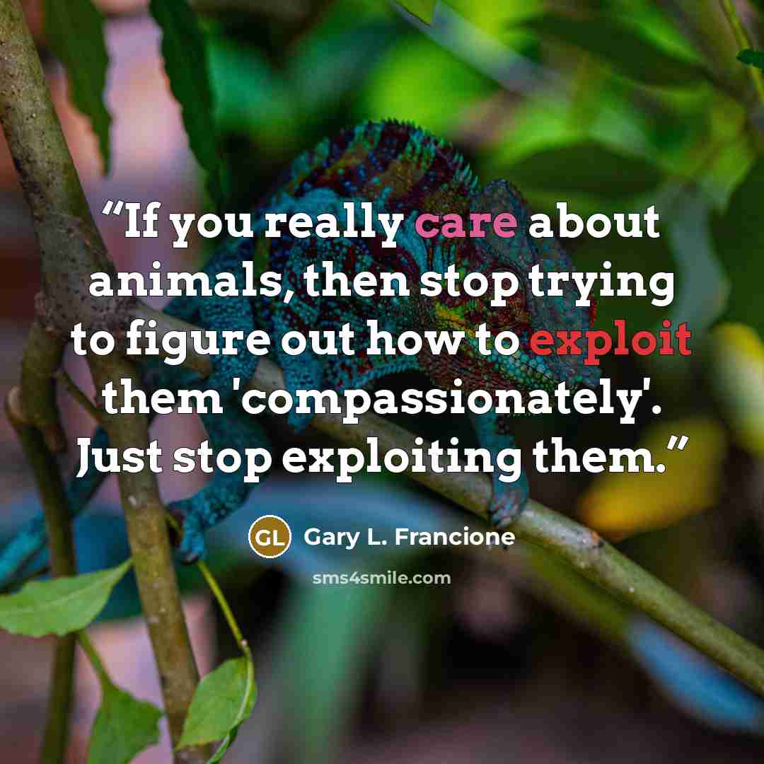 “If you really care about animals, then stop trying to figure out how to exploit them 'compassionately'. Just stop exploiting them.” quote by Gary L. Francione
