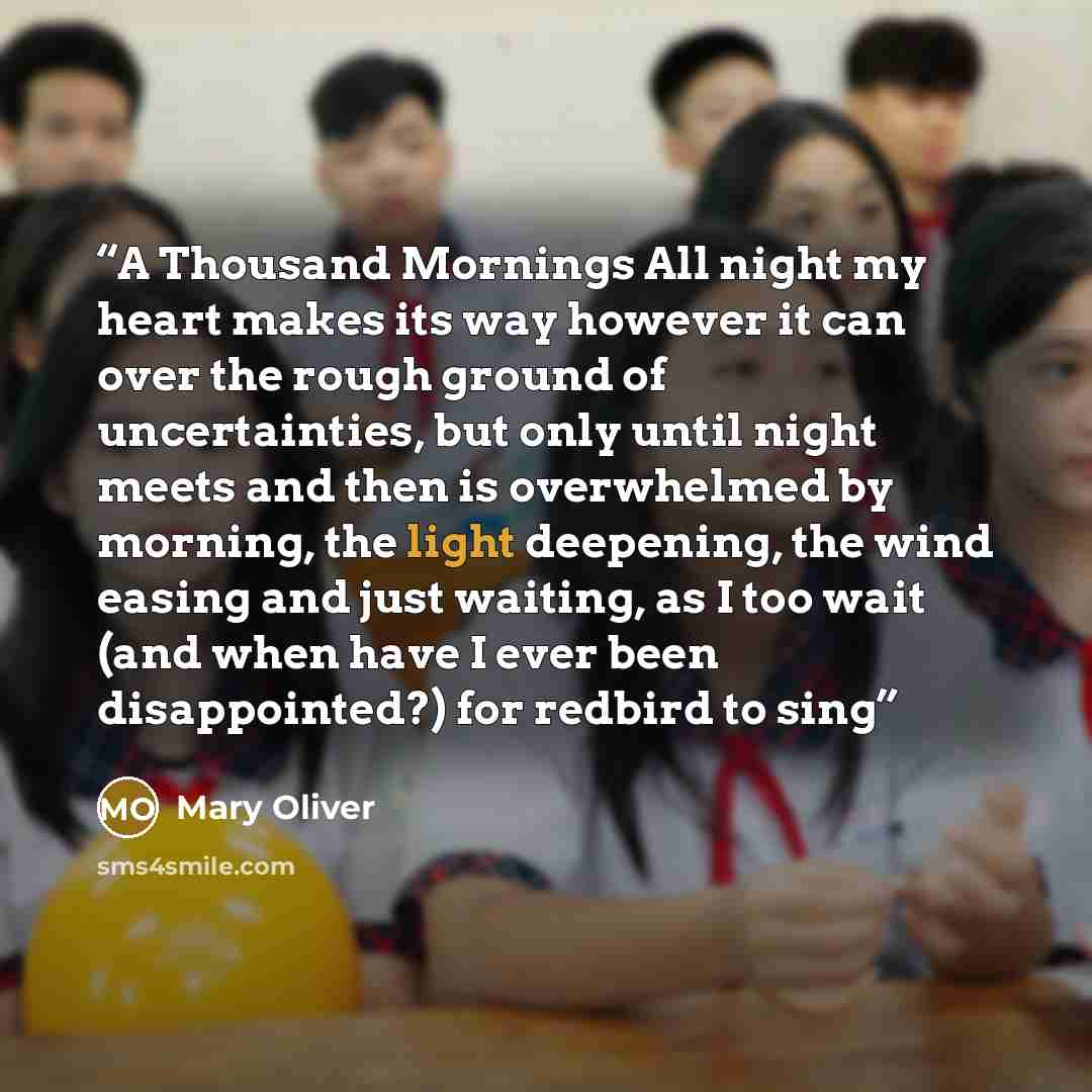 “A Thousand Mornings All night my heart makes its way however it can over the rough ground of uncertainties, but only until night meets and then is overwhelmed by morning, the light deepening, the wind easing and just waiting, as I too wait (and when have I ever been disappointed?) for redbird to…” quote by Mary Oliver