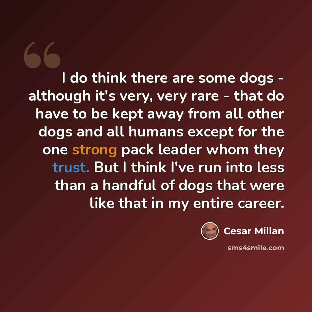 “I do think there are some dogs - although it's very, very rare - that do have to be kept away from all other dogs and all humans except for the one strong pack leader whom they trust. But I think I've run into less than a handful of dogs that were like that in my entire career.” quote by Cesar Millan