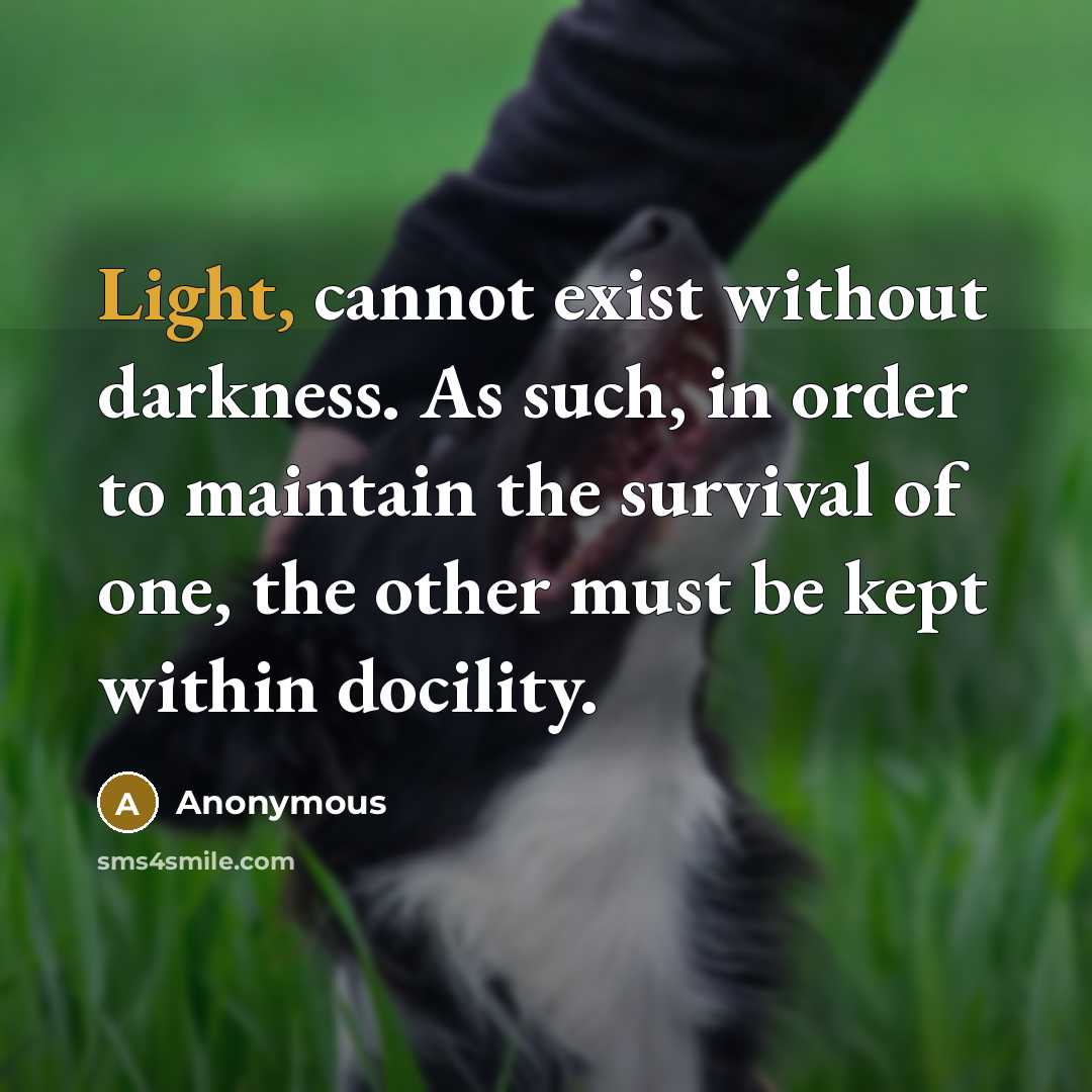 “Light, cannot exist without darkness. As such, in order to maintain the survival of one, the other must be kept within docility.” quote by Anonymous