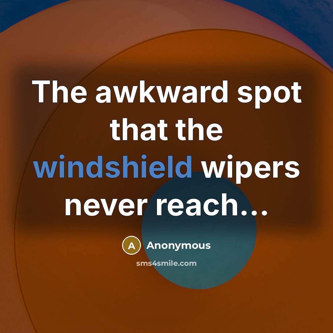 “The awkward spot that the windshield wipers never reach...” quote by Anonymous