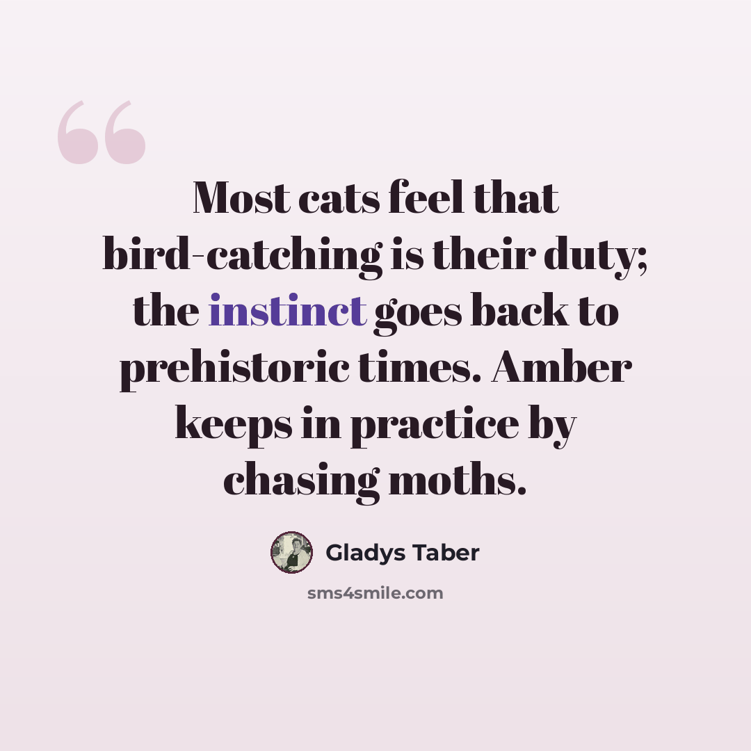 “Most cats feel that bird-catching is their duty; the instinct goes back to prehistoric times. Amber keeps in practice by chasing moths.” quote by Gladys Taber