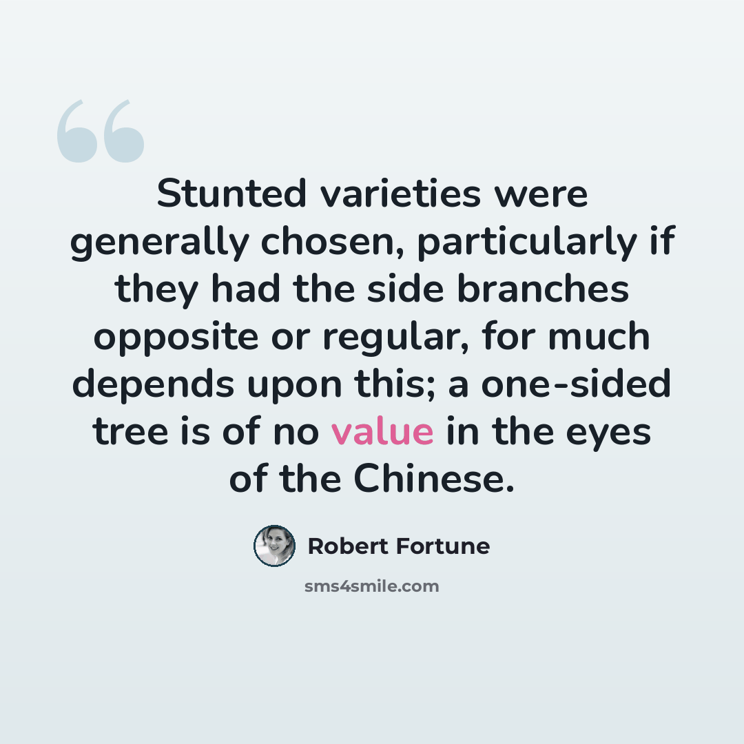 “Stunted varieties were generally chosen, particularly if they had the side branches opposite or regular, for much depends upon this; a one-sided tree is of no value in the eyes of the Chinese.” quote by Robert Fortune