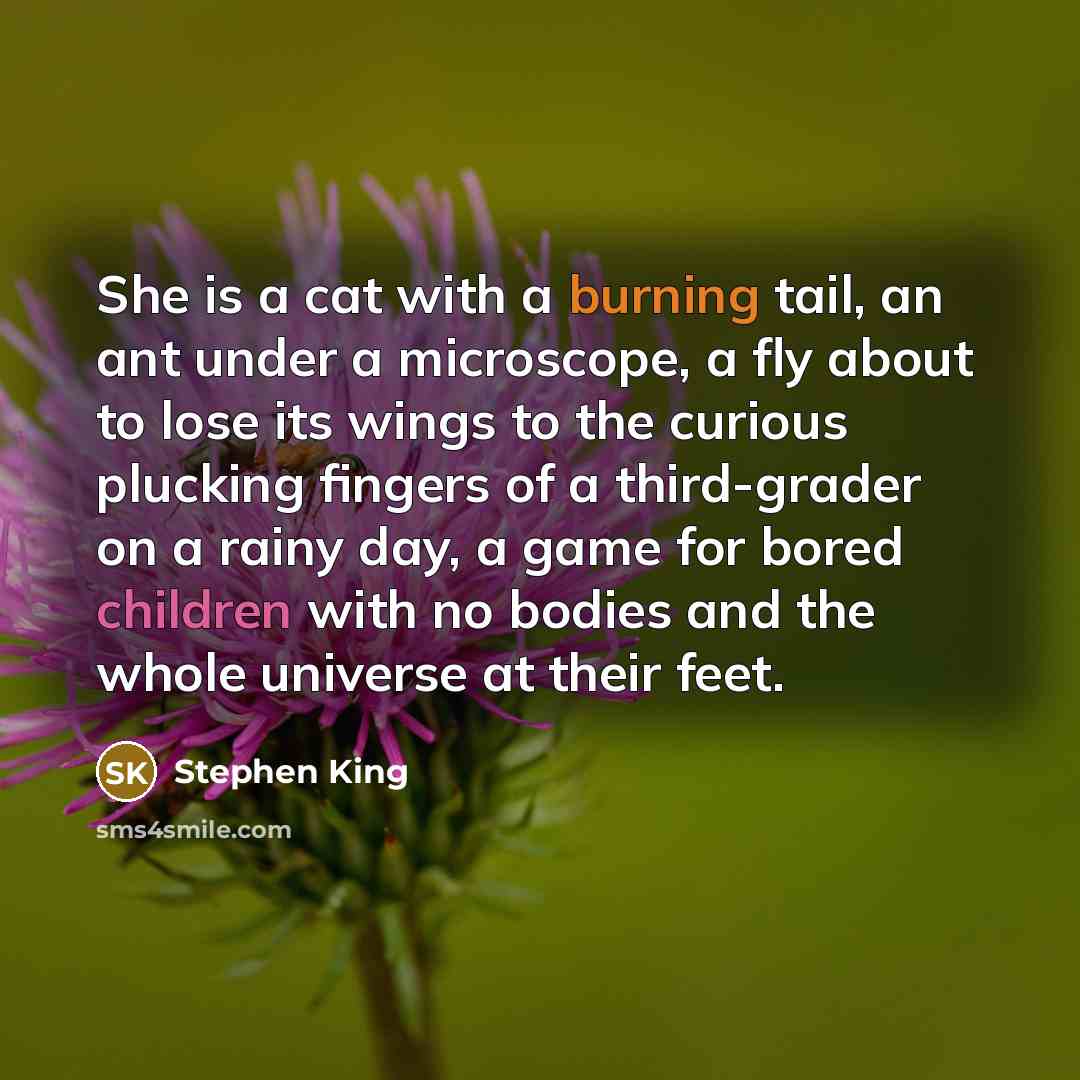 “She is a cat with a burning tail, an ant under a microscope, a fly about to lose its wings to the curious plucking fingers of a third-grader on a rainy day, a game for bored children with no bodies and the whole universe at their feet.” quote by Stephen King