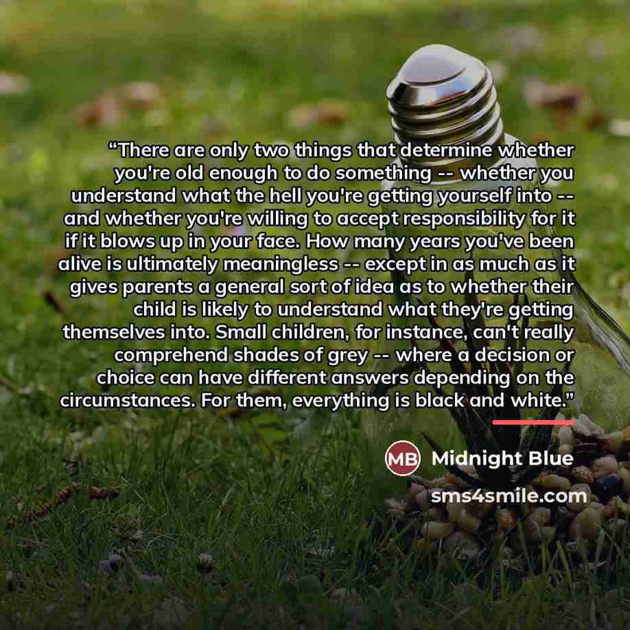 “There are only two things that determine whether you're old enough to do something -- whether you understand what the hell you're getting yourself into -- and whether you're willing to accept responsibility for it if it blows up in your face. How many years you've been alive is ultimately…” quote by Midnight Blue