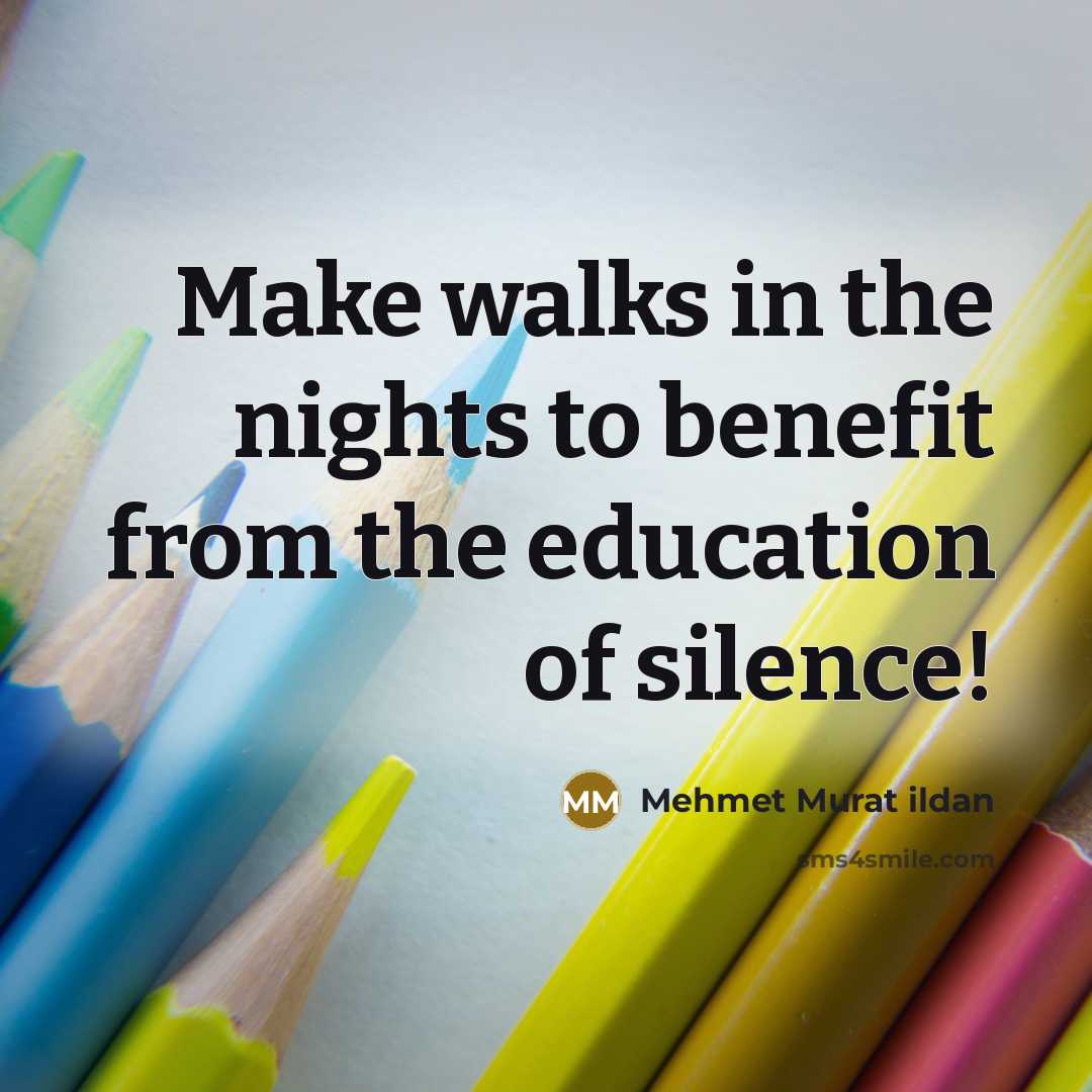 “Make walks in the nights to benefit from the education of silence!” quote by Mehmet Murat Ildan