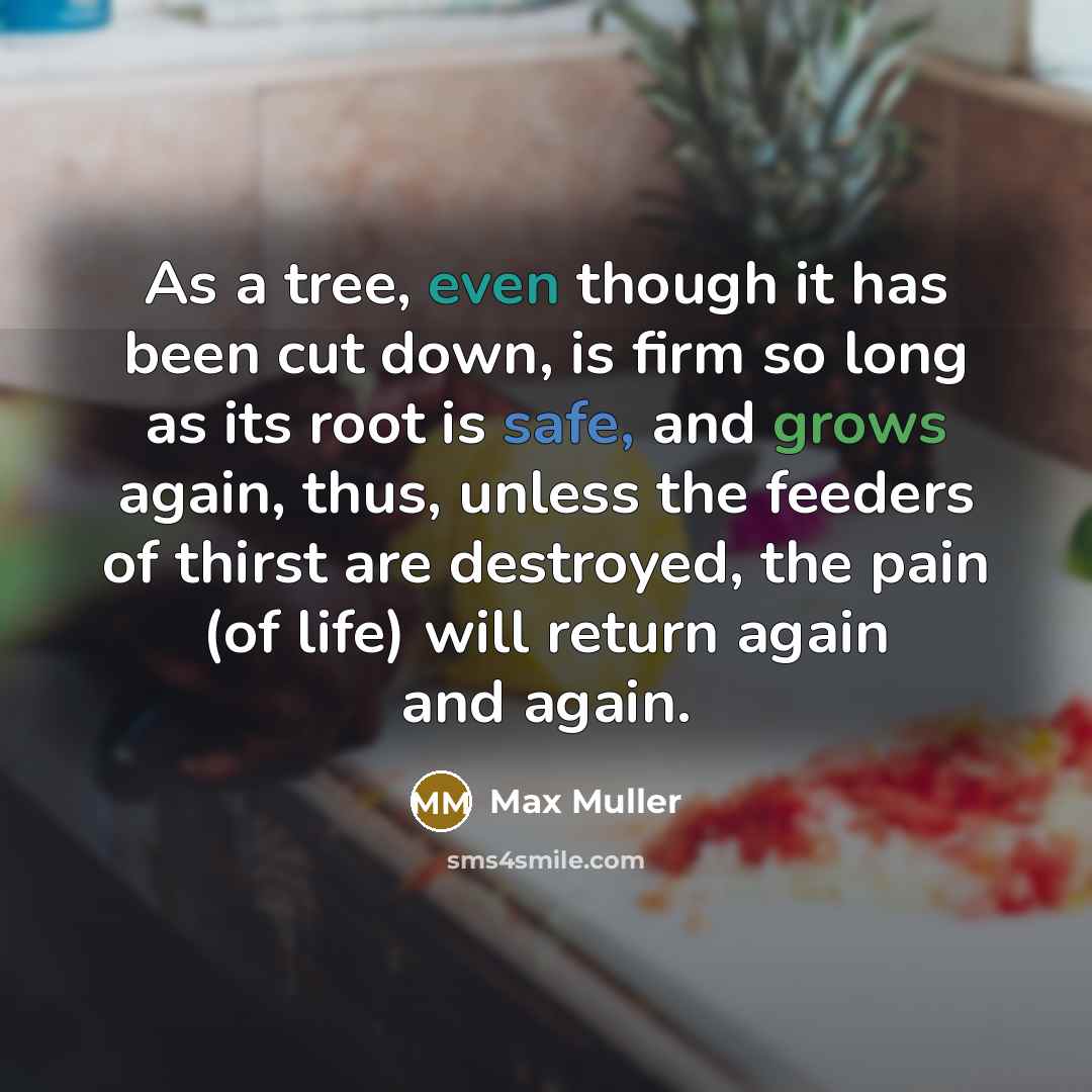 “As a tree, even though it has been cut down, is firm so long as its root is safe, and grows again, thus, unless the feeders of thirst are destroyed, the pain (of life) will return again and again.” quote by Max Muller
