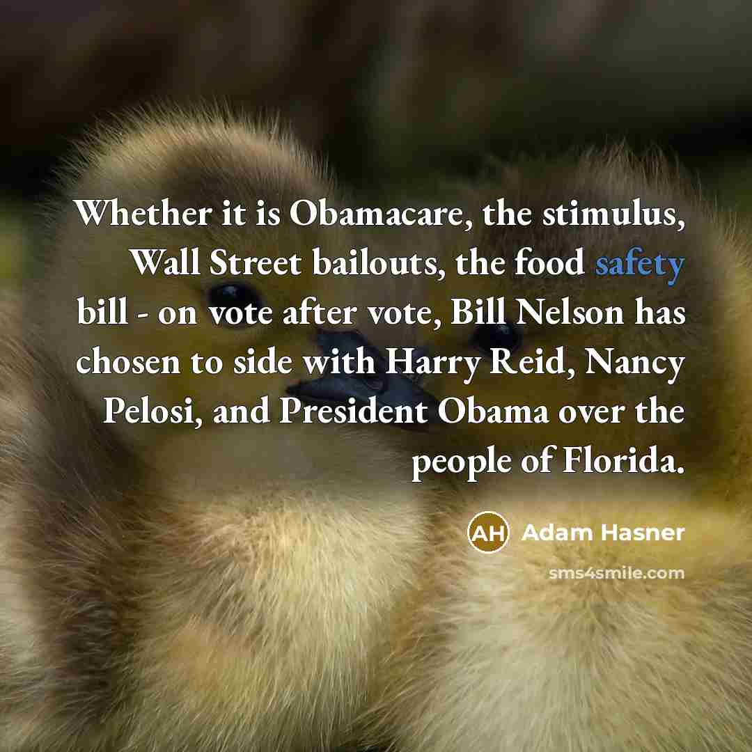 “Whether it is Obamacare, the stimulus, Wall Street bailouts, the food safety bill - on vote after vote, Bill Nelson has chosen to side with Harry Reid, Nancy Pelosi, and President Obama over the people of Florida.” quote by Adam Hasner