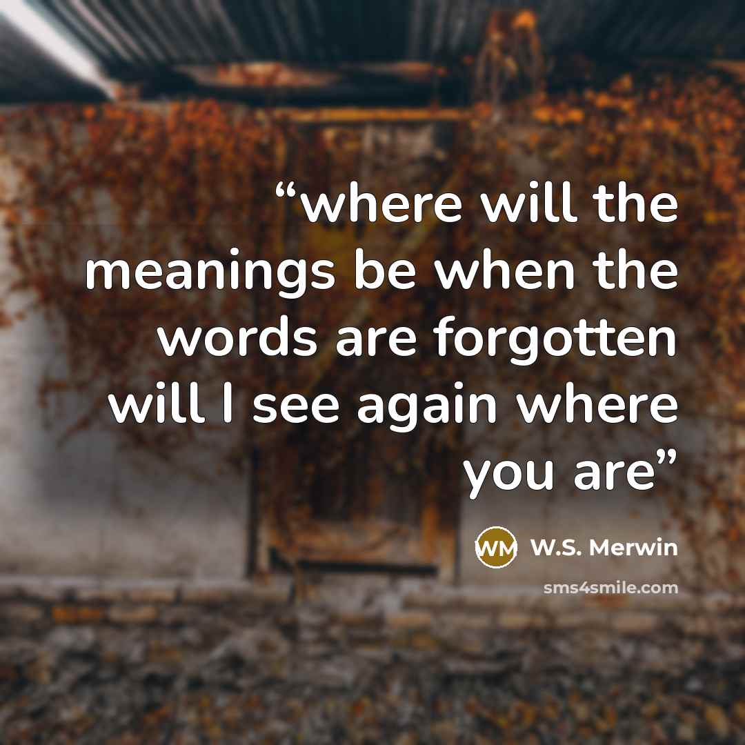 “where will the meanings be when the words are forgotten will I see again where you are” quote by W.S. Merwin