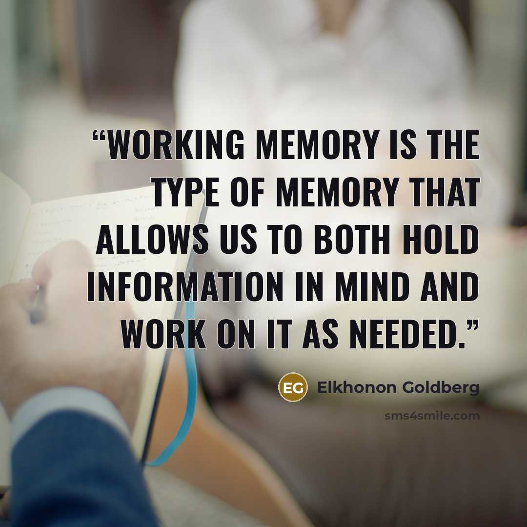 “Working memory is the type of memory that allows us to both hold information in mind and work on it as needed.” quote by Elkhonon Goldberg