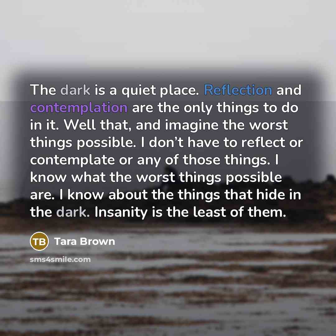 “The dark is a quiet place. Reflection and contemplation are the only things to do in it. Well that, and imagine the worst things possible. I don’t have to reflect or contemplate or any of those things. I know what the worst things possible are. I know about the things that hide in the dark…” quote by Tara Brown