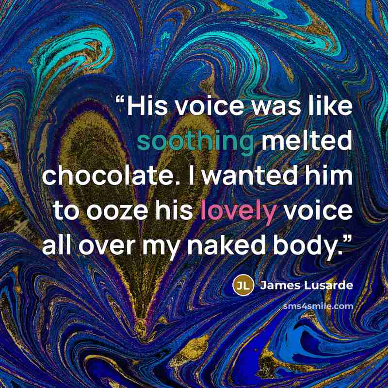 “His voice was like soothing melted chocolate. I wanted him to ooze his lovely voice all over my naked body.” quote by James Lusarde