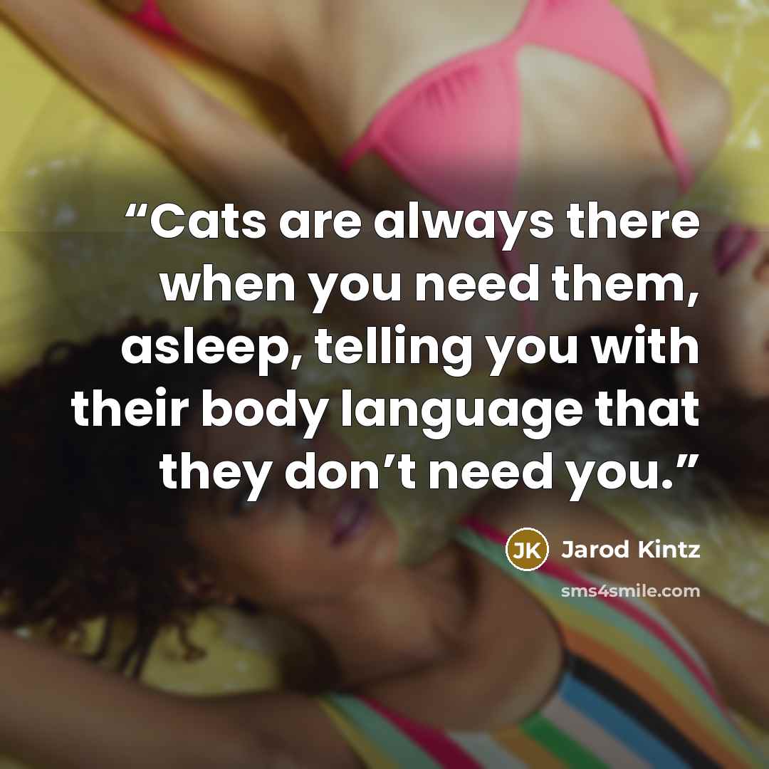 “Cats are always there when you need them, asleep, telling you with their body language that they don’t need you.” quote by Jarod Kintz