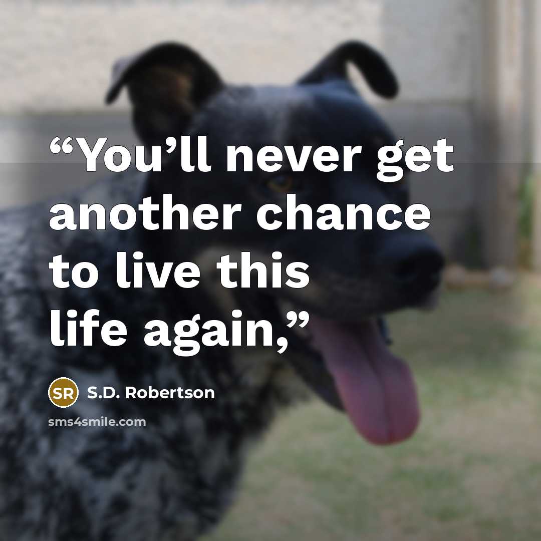 “You’ll never get another chance to live this life again,” quote by S.D. Robertson