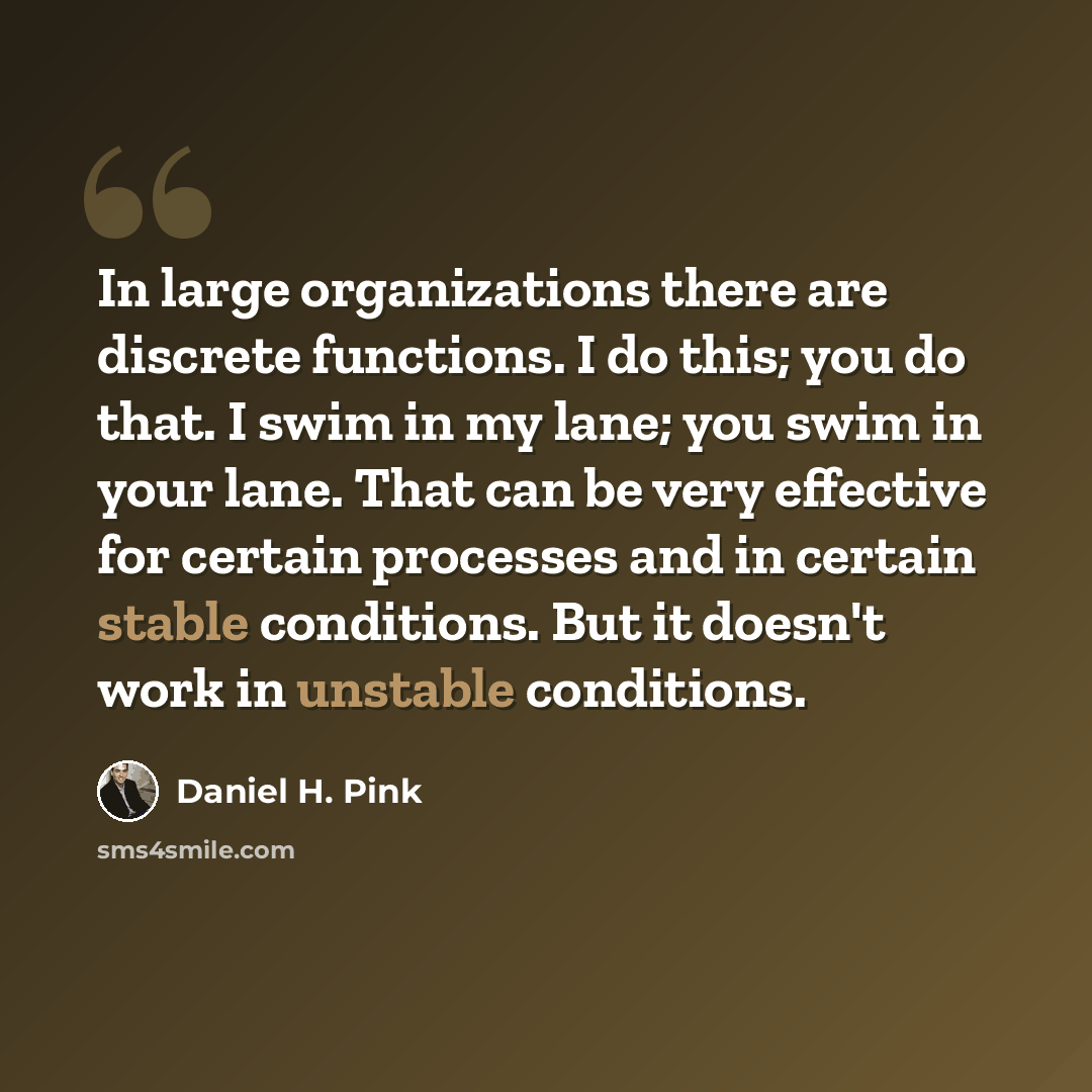 “In large organizations there are discrete functions. I do this; you do that. I swim in my lane; you swim in your lane. That can be very effective for certain processes and in certain stable conditions. But it doesn't work in unstable conditions.” quote by Daniel H. Pink