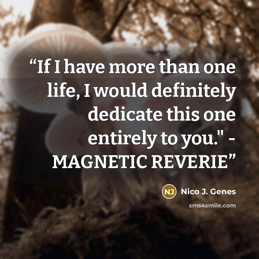 “If I have more than one life, I would definitely dedicate this one entirely to you." - MAGNETIC REVERIE” quote by Nico J. Genes