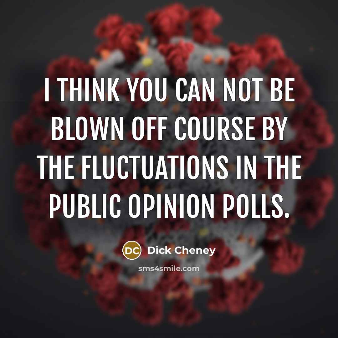 “I think you can not be blown off course by the fluctuations in the public opinion polls.” quote by Dick Cheney