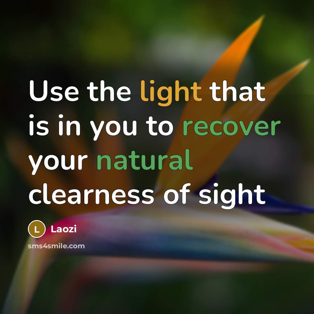 “Use the light that is in you to recover your natural clearness of sight” quote by Laozi