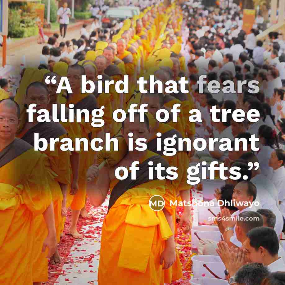 “A bird that fears falling off of a tree branch is ignorant of its gifts.” quote by Matshona Dhliwayo