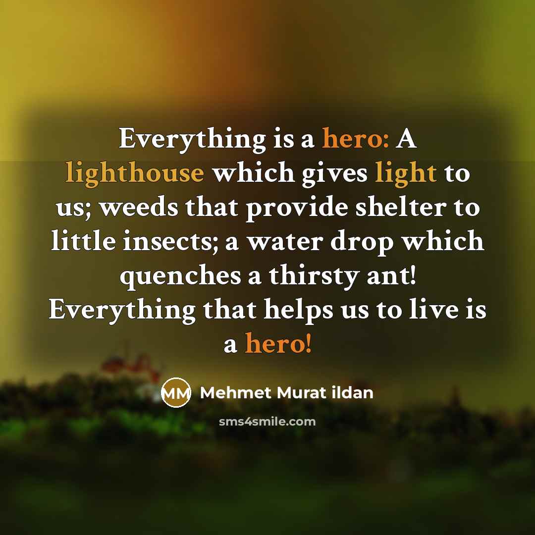 “Everything is a hero: A lighthouse which gives light to us; weeds that provide shelter to little insects; a water drop which quenches a thirsty ant! Everything that helps us to live is a hero!” quote by Mehmet Murat Ildan
